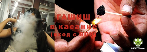 гидра Арсеньев