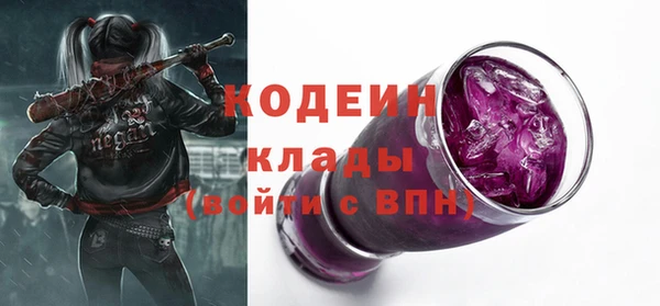 гидра Арсеньев