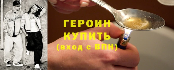 гидра Арсеньев