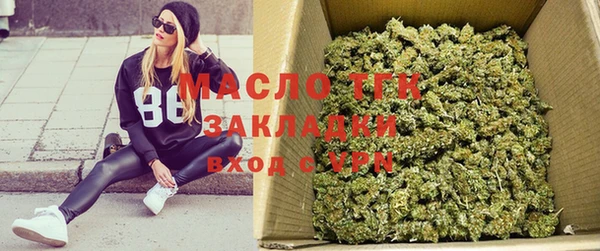 гидра Арсеньев