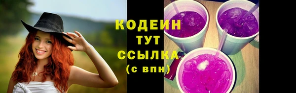 гидра Арсеньев