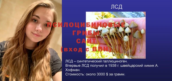 ешки Армянск