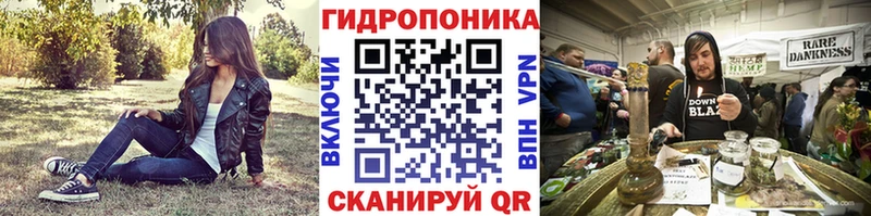 хочу наркоту  Ивангород  Конопля Amnesia 